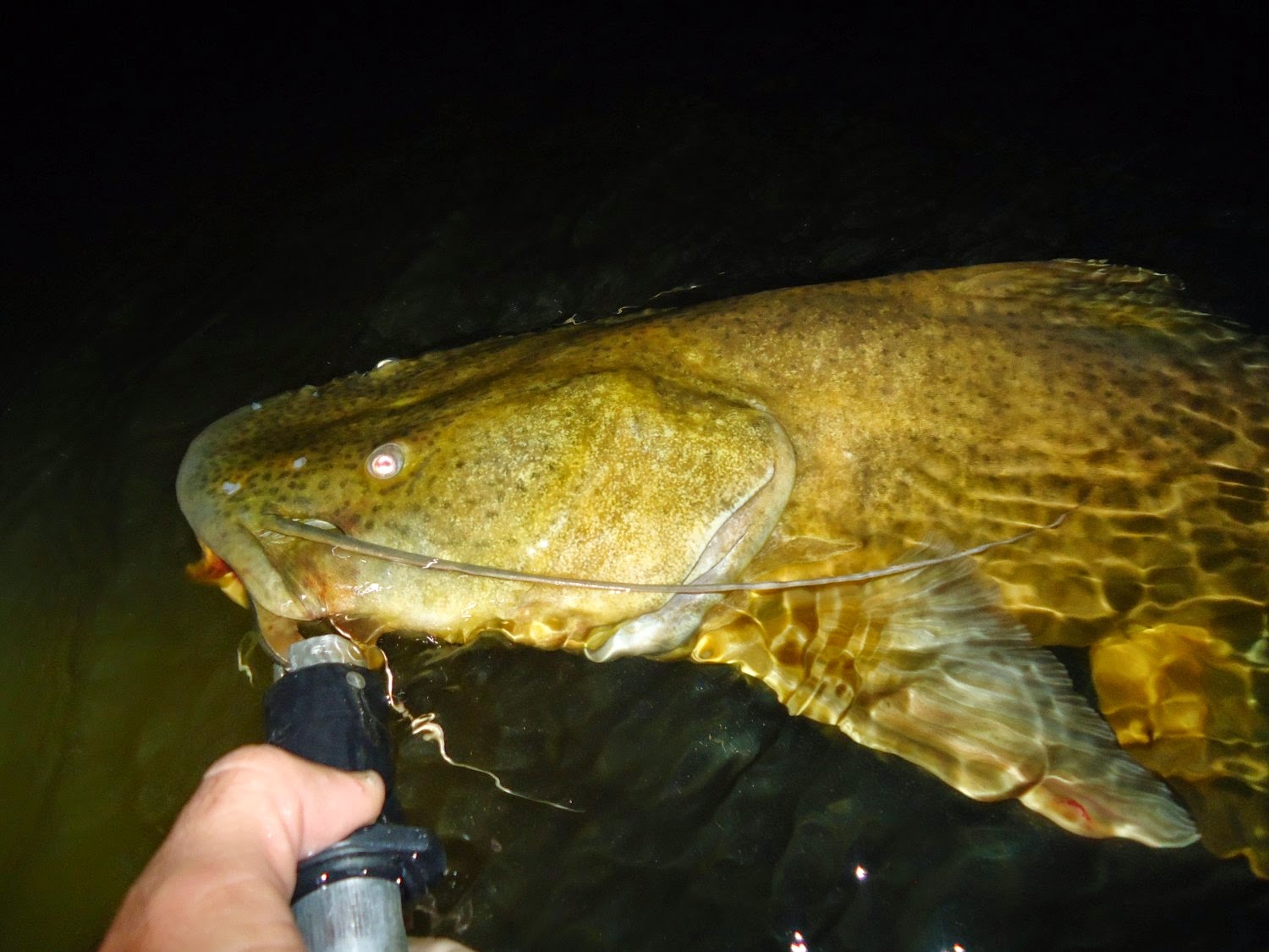 Pesca do Jaú - Rio Parauapebas
